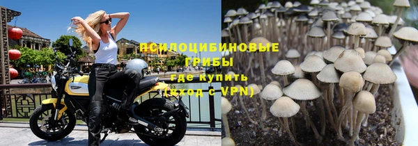 амф Балахна