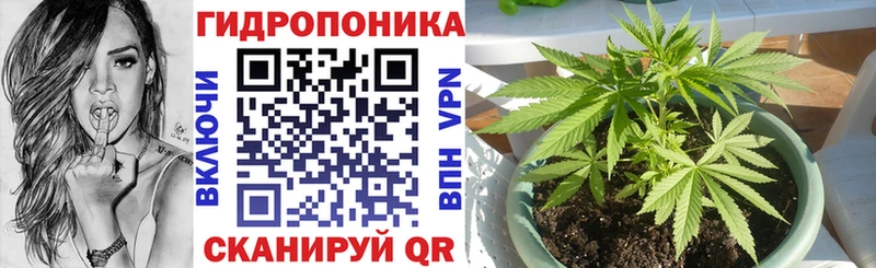 Шишки марихуана семена  Семёнов 
